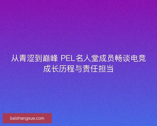 从青涩到巅峰 PEL名人堂成员畅谈电竞成长历程与责任担当